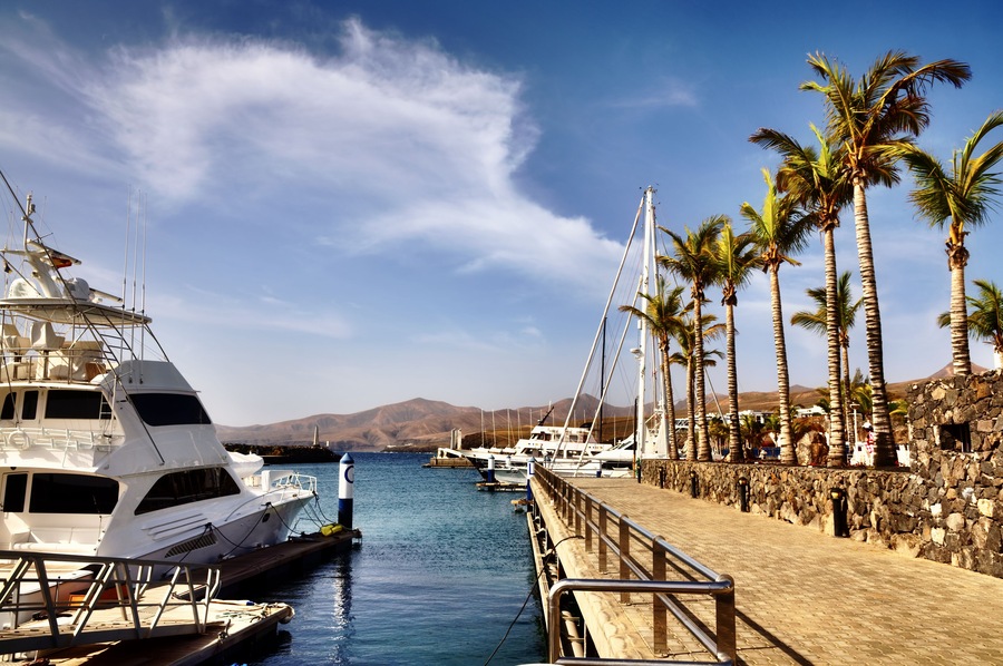 Marina com iates atracados, uma passarela de madeira e palmeiras.