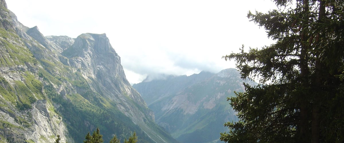 A mountainous landscape with a valley, dense forests, and a road.