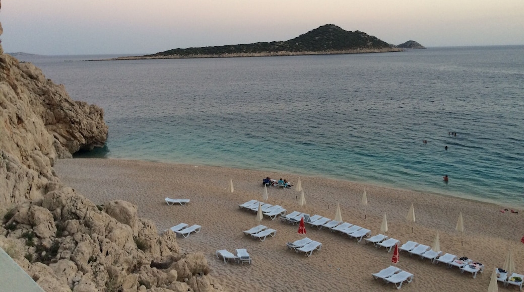 Night time swimming is the best