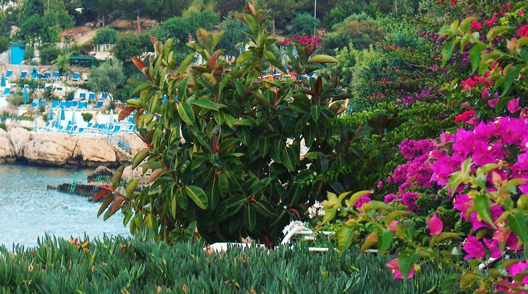 Kaş, Antalya, Turkey
#green #greenphotosweepstakes