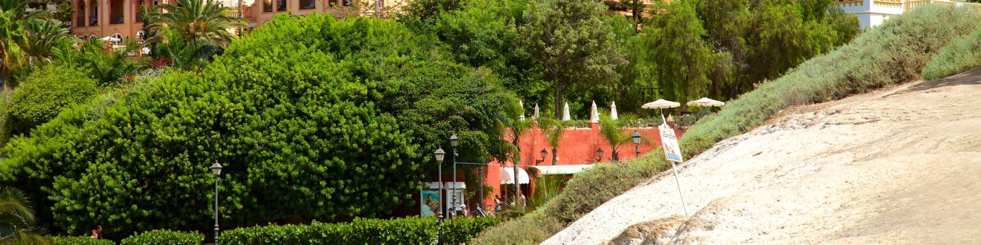 Playa del Duque welches beinhaltet Strand und Stadt