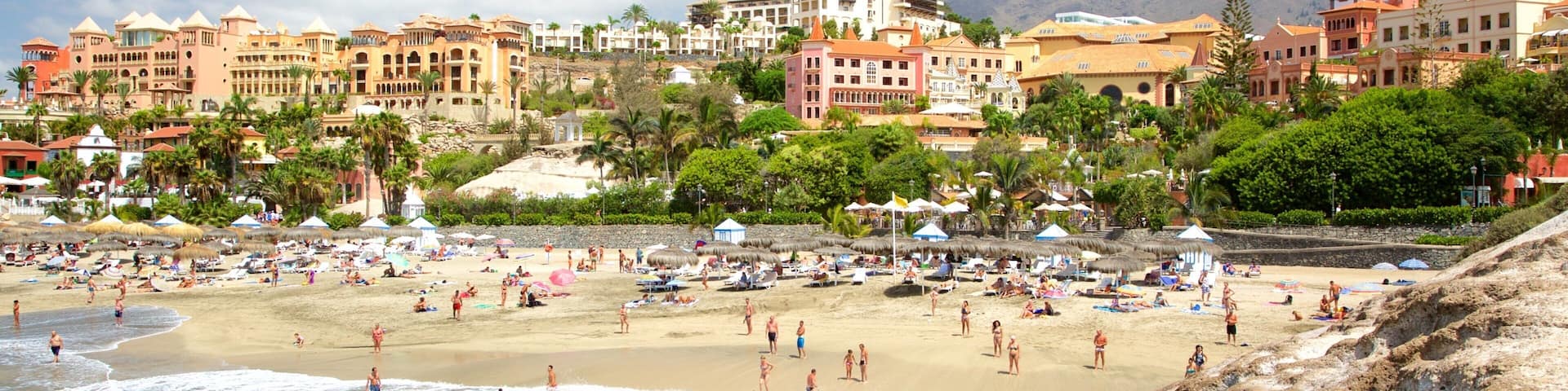 Plage Del Duque mettant en vedette baignade, plage de sable et vues littorales