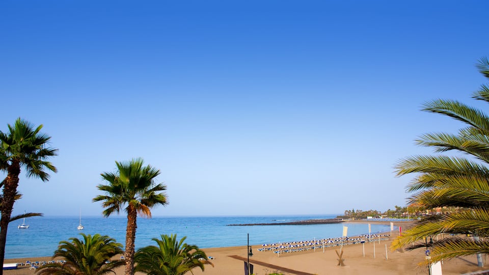 Een strand met palmbomen, een zandstrand en een helderblauwe lucht.