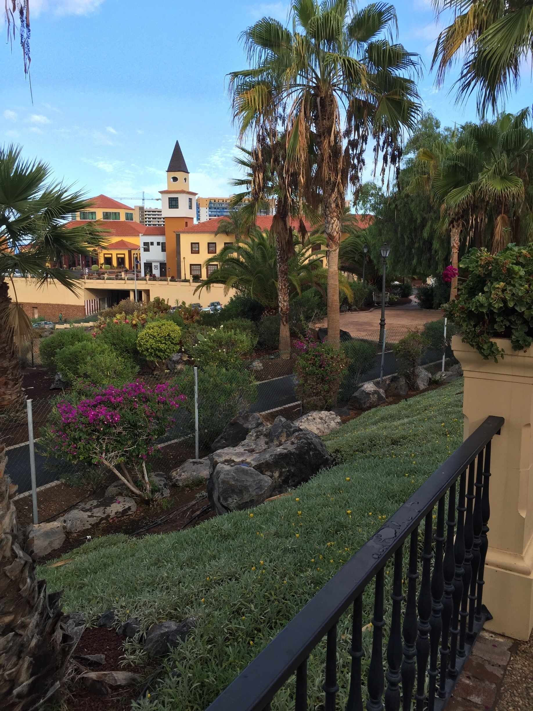 A landscaped garden with palm trees, flowering bushes, and a view of a multi-story building with a red roof.