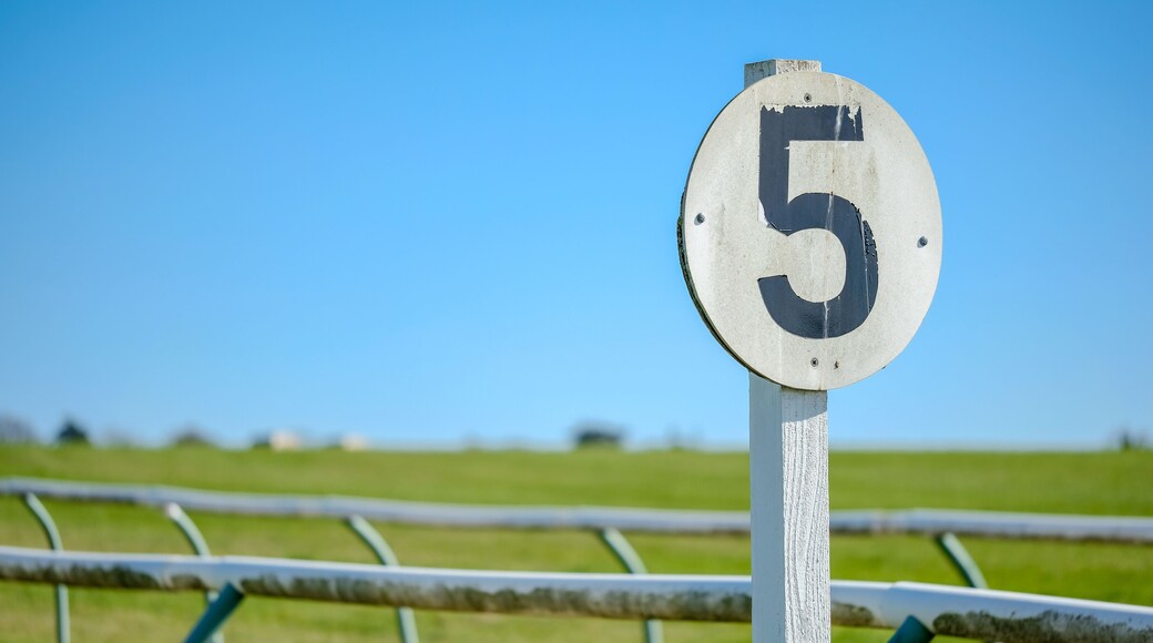 Weathered 5 furlong distance marker seen on the edge of a professional flat-racing training track in the UK.