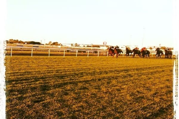 The Winter Racing Carnival is over a few weeks in May and June in Brisbane. This winter day was a beautiful 25C.