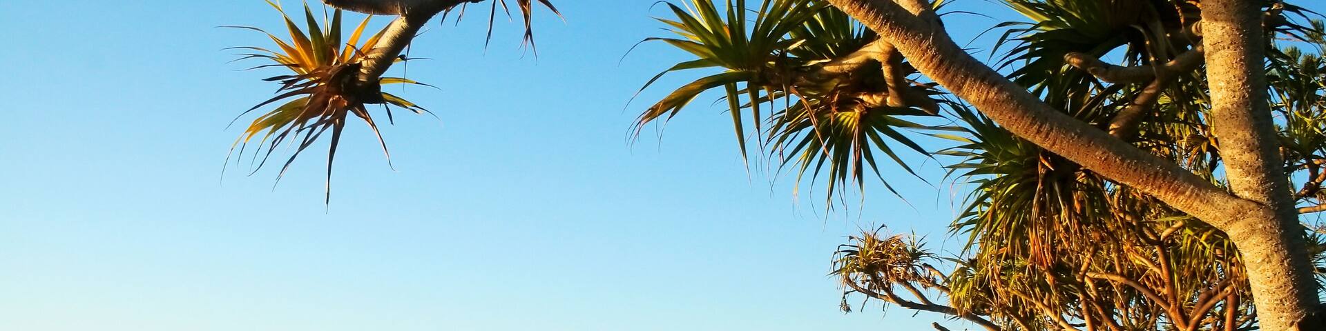 Southport Australia From Labrador