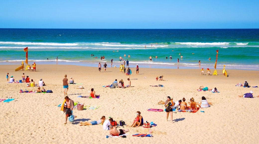 Southport som omfatter en strand, tropiske områder og svømning