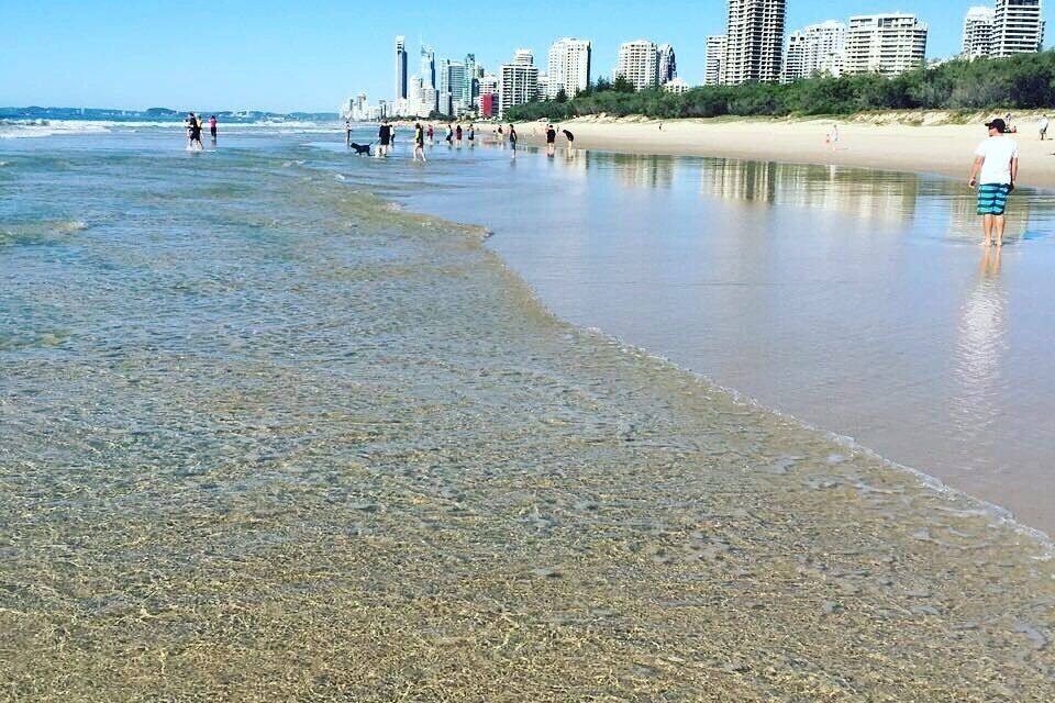 Una playa con aguas poco profundas y cristalinas, una orilla arenosa y un horizonte urbano al fondo.