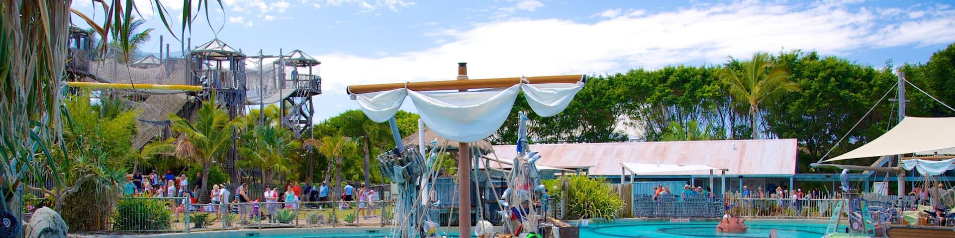 Sea World showing marine life, rides and a waterpark