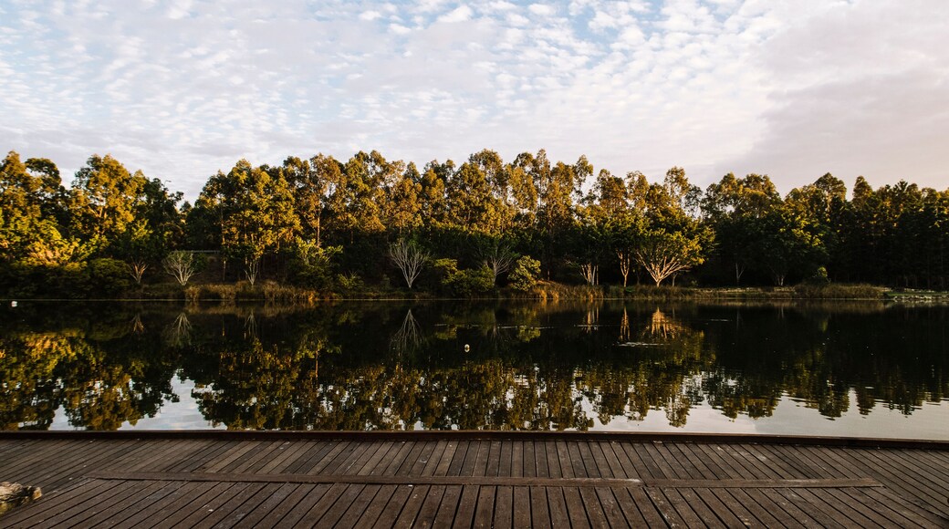 Beautiful lake in Springfield Lakes, Ipswich City, Queensland in the morning.