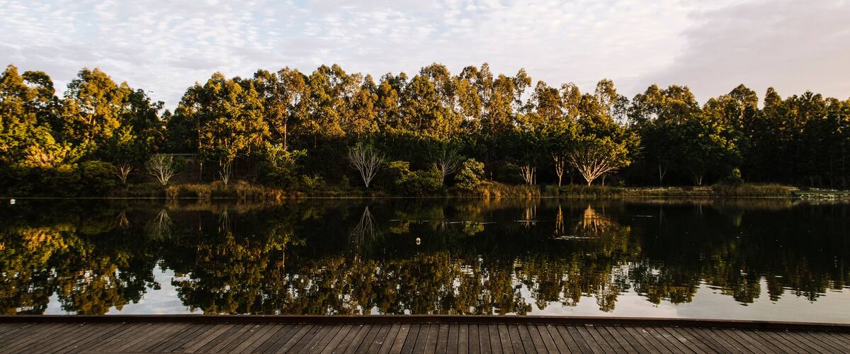A calm lake with a wooden dock, surrounded by dense trees reflecting in the water.