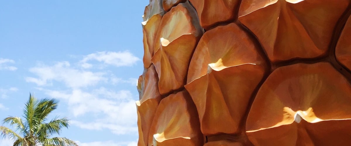 Tick seeing another giant fruit off your list and head to The Big Pineapple on the #sunshinecoast #zoo #pineapple #australia #fruit #stunningstructures