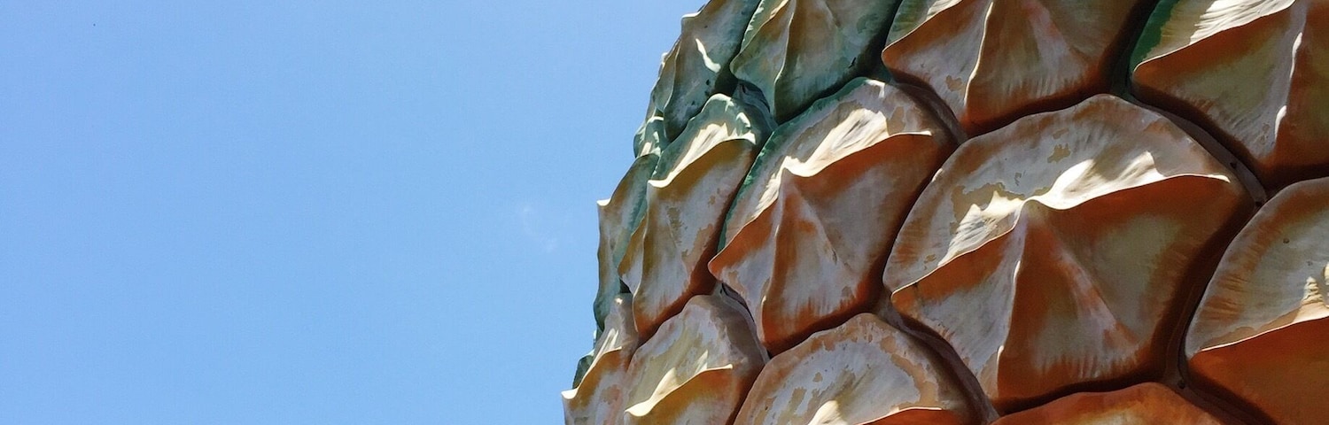 Tick seeing another giant fruit off your list and head to The Big Pineapple on the #sunshinecoast #zoo #pineapple #australia #fruit #stunningstructures