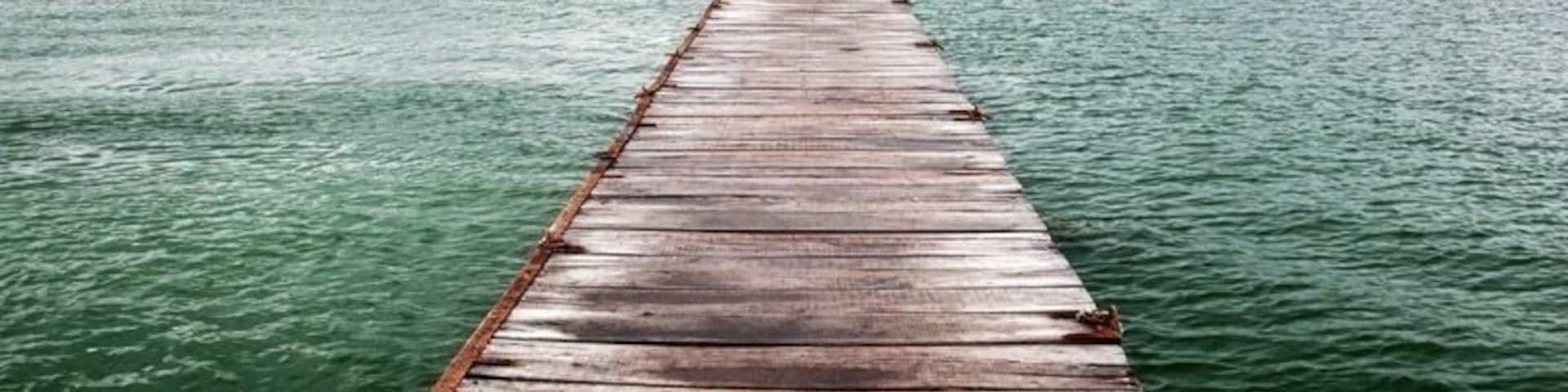 Took this picture just after it had stopped raining, the wood texture and colour really came to life.