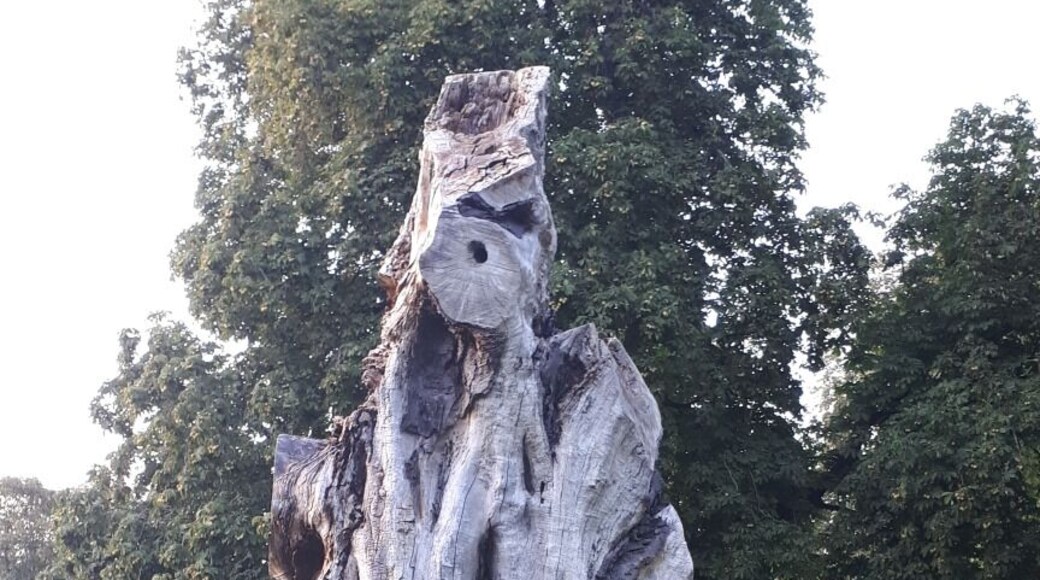 Interesting tree stump....very sculptural.