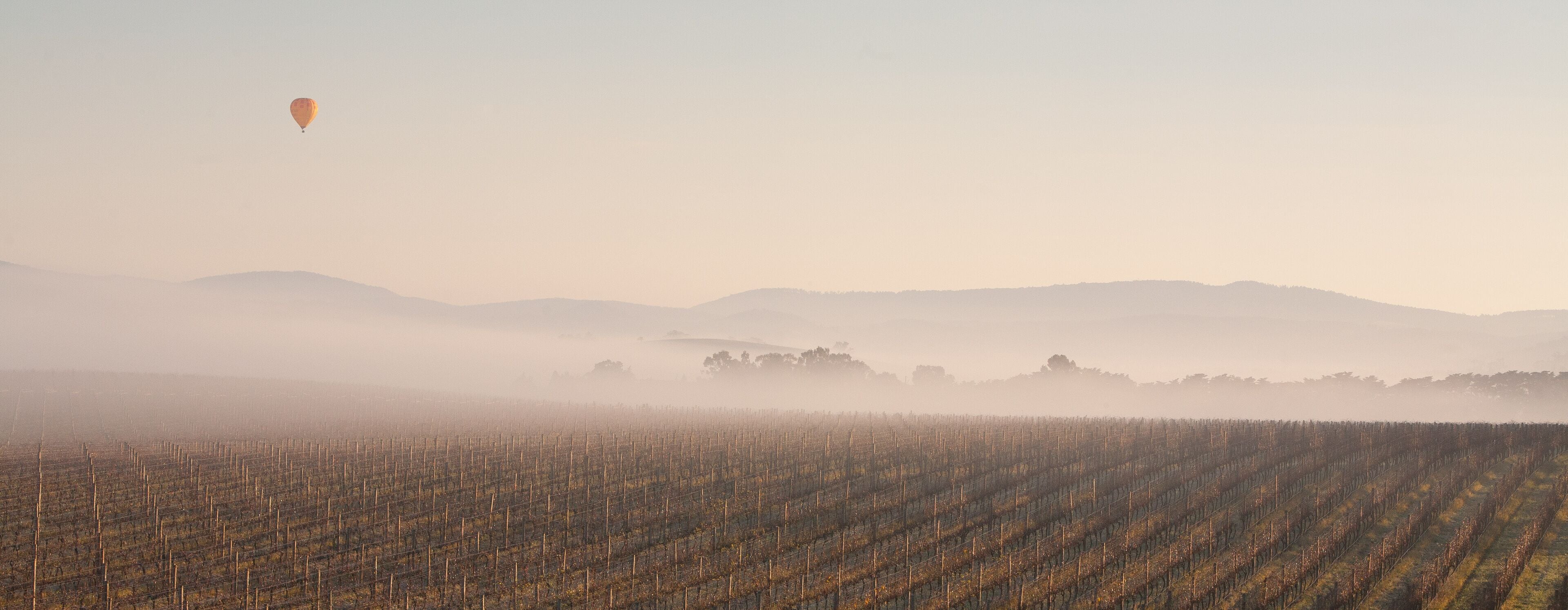 Ballooning in the Morning