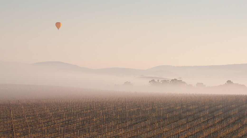 Ballooning in the Morning