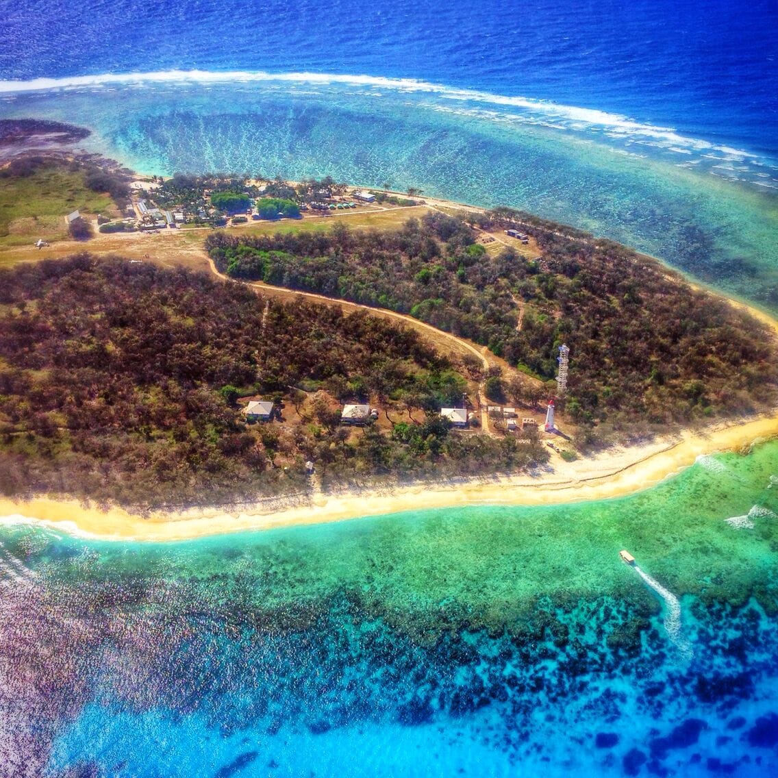 Lady Elliot Island is located off the coast of Queensland, Australia. A reserve and eco resort, it's a great place to snorkel and see wildlife around the southern Great Barrier Reef. What makes it so special is that it's a hot spot for swimming with manta rays