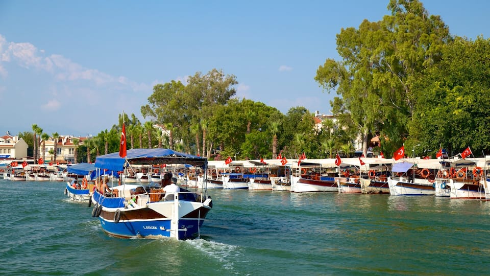 A marina with numerous boats docked, surrounded by lush green trees and buildings in the background.