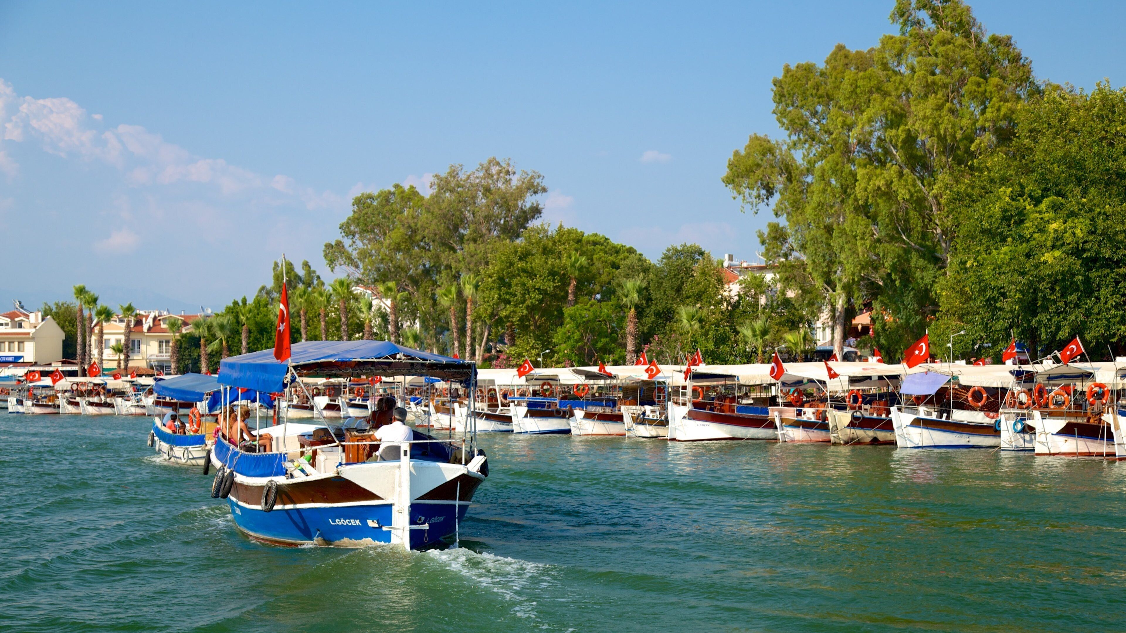 A marina with numerous boats docked, surrounded by lush green trees and buildings in the background.
