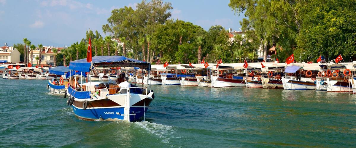 A marina with numerous boats docked, surrounded by lush green trees and buildings in the background.