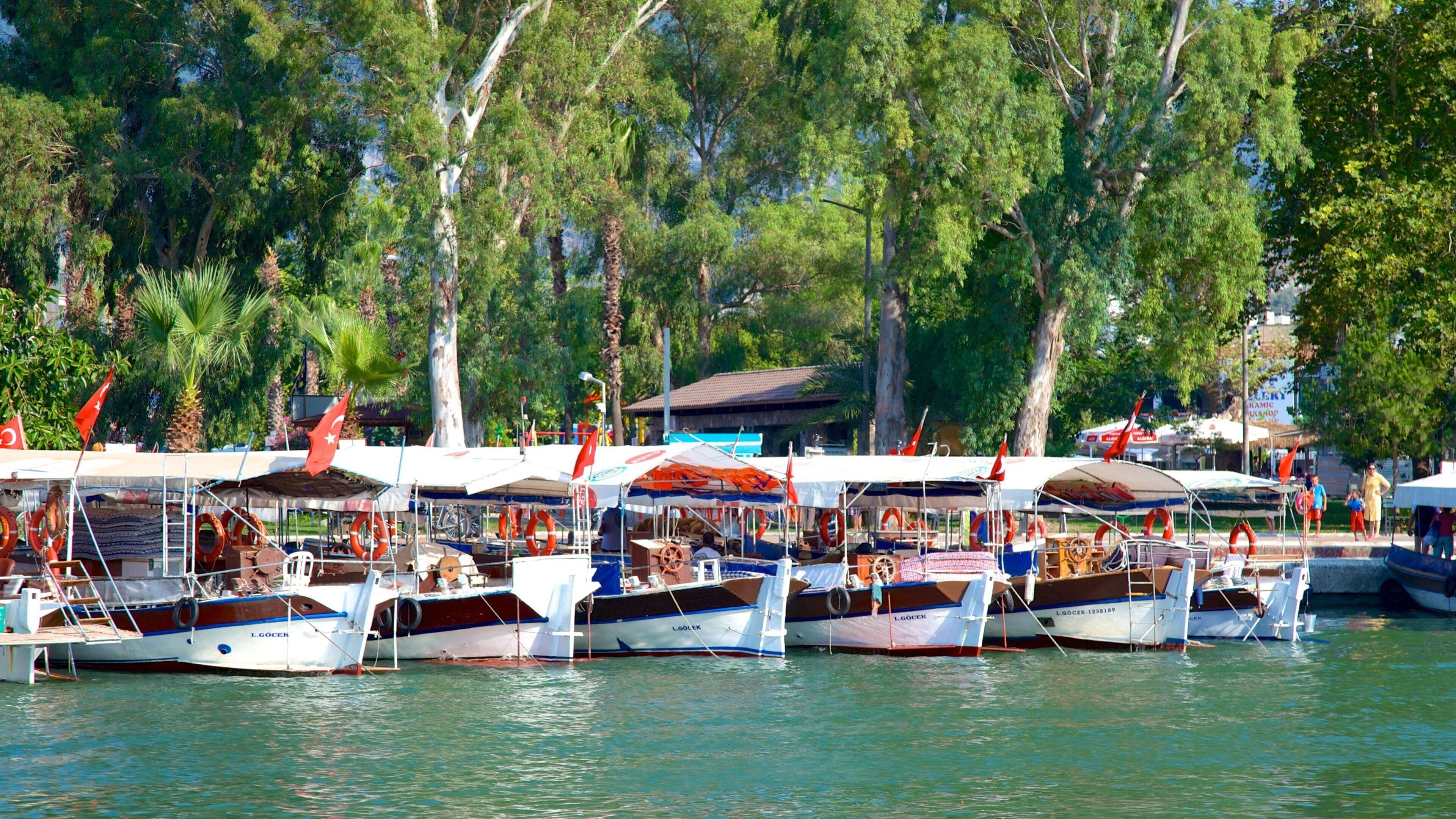 Dalyan which includes a marina