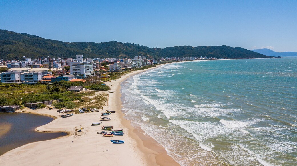 戈韦纳多塞尔索拉莫斯