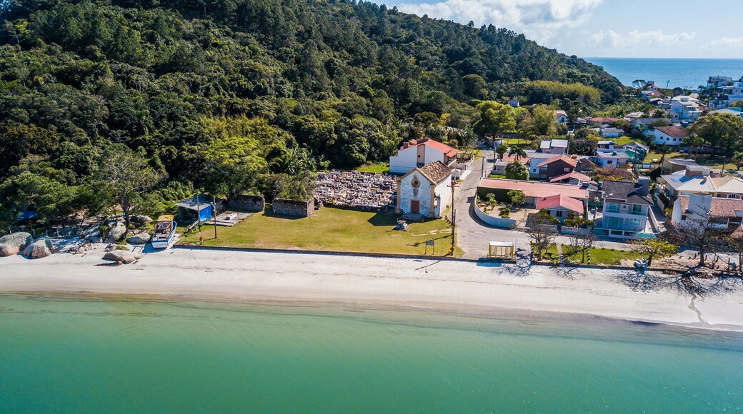 戈韦纳多塞尔索拉莫斯