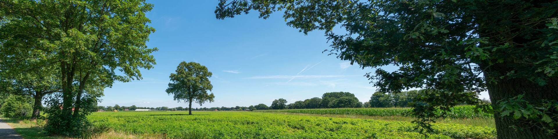 Landscape with trees and fields just outside of Zelhem in The Netherlands.