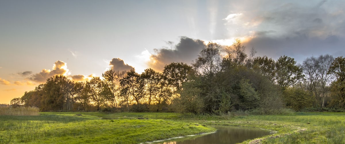 A calm river winding through a grassy field with trees in the background.