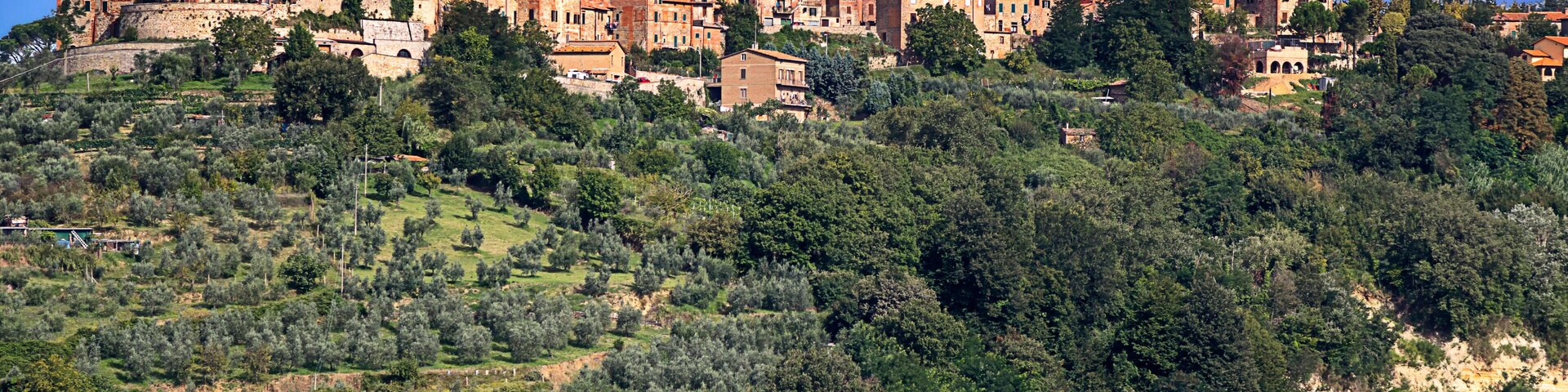 A hillside town with historic buildings and a prominent church.