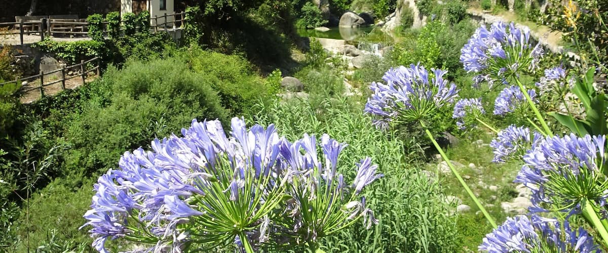Touring the hinterland of San Remo: a mosaic of mountain villages, rivers and picturesque spots.
