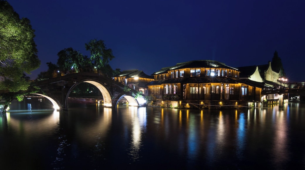 Ancient water city of Wu Zhen, China
#StunningStructures