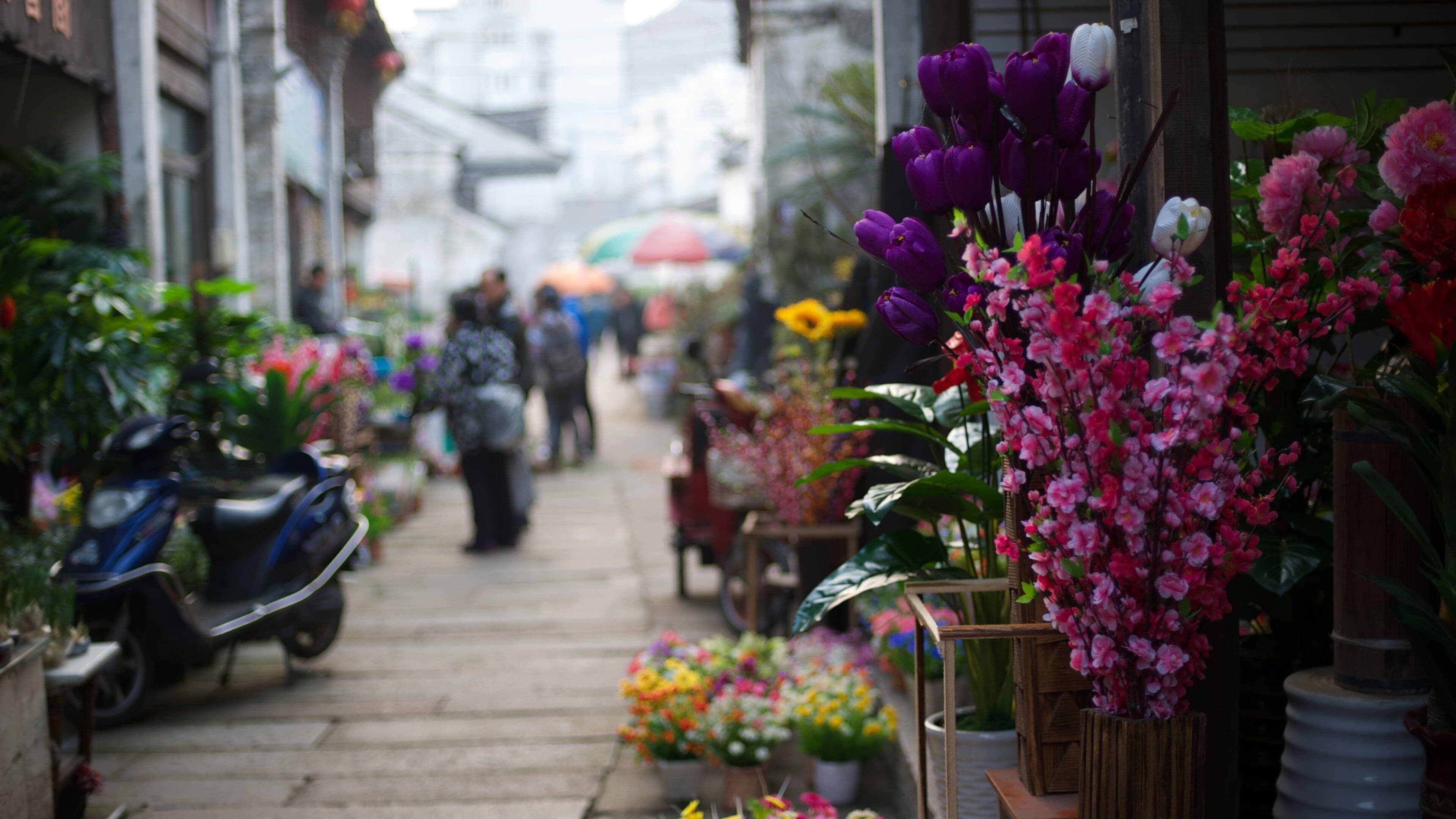 Best places to stay for families
