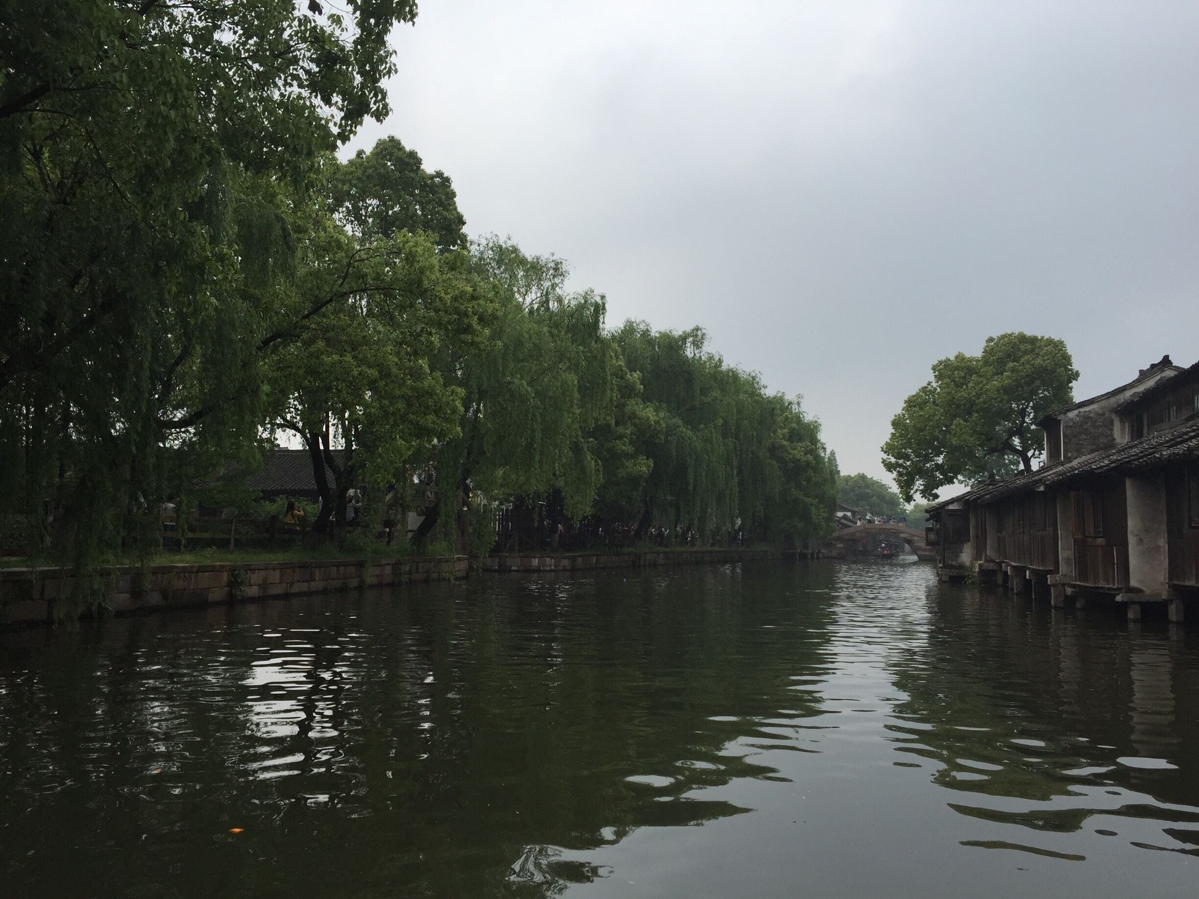 #Green anywhere in WuZhen 
