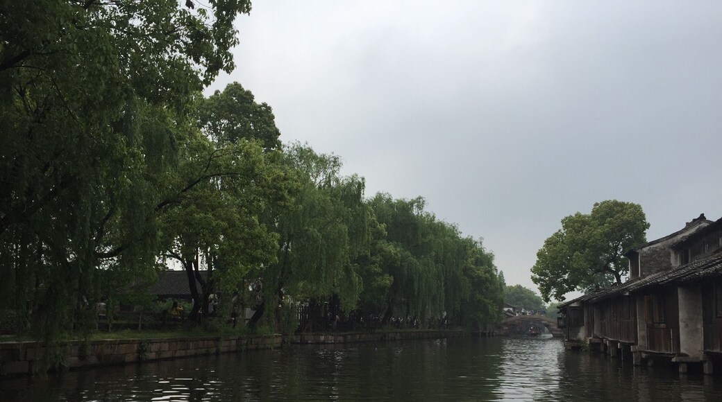 #Green anywhere in WuZhen