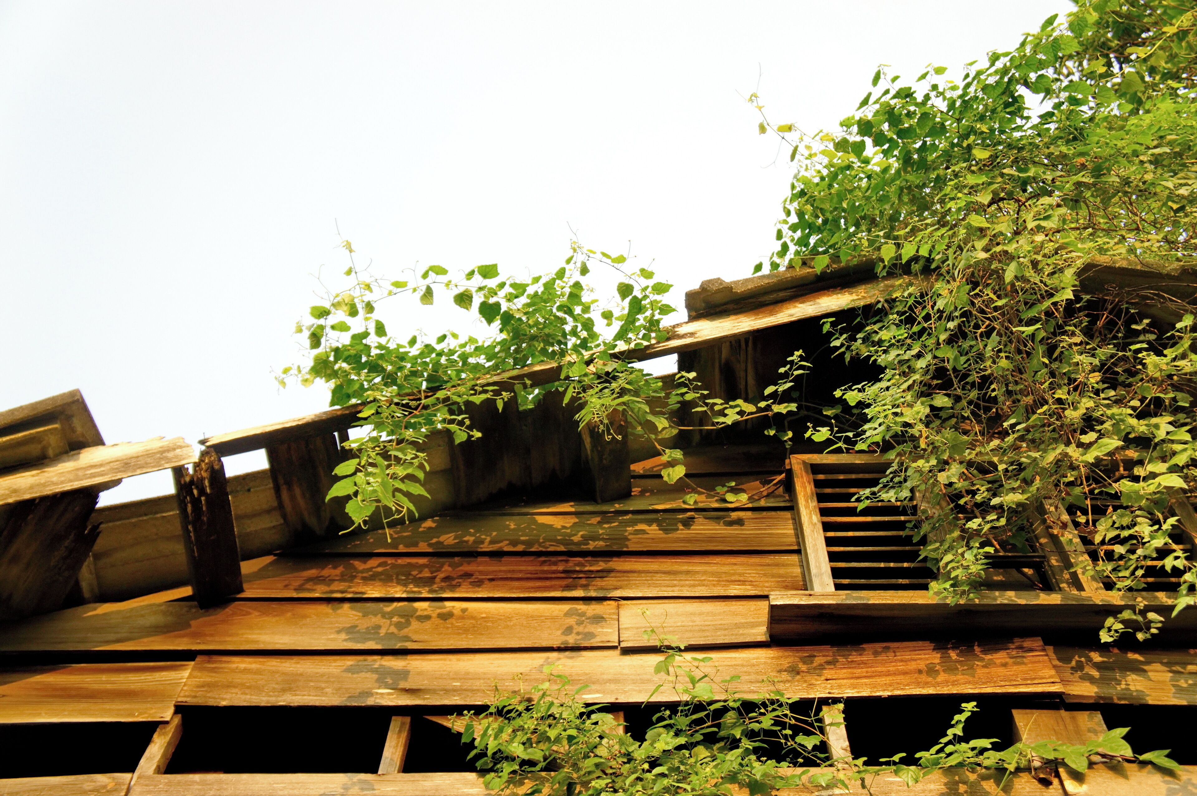 This is a photo of a monument in Taiwan identified by the ID