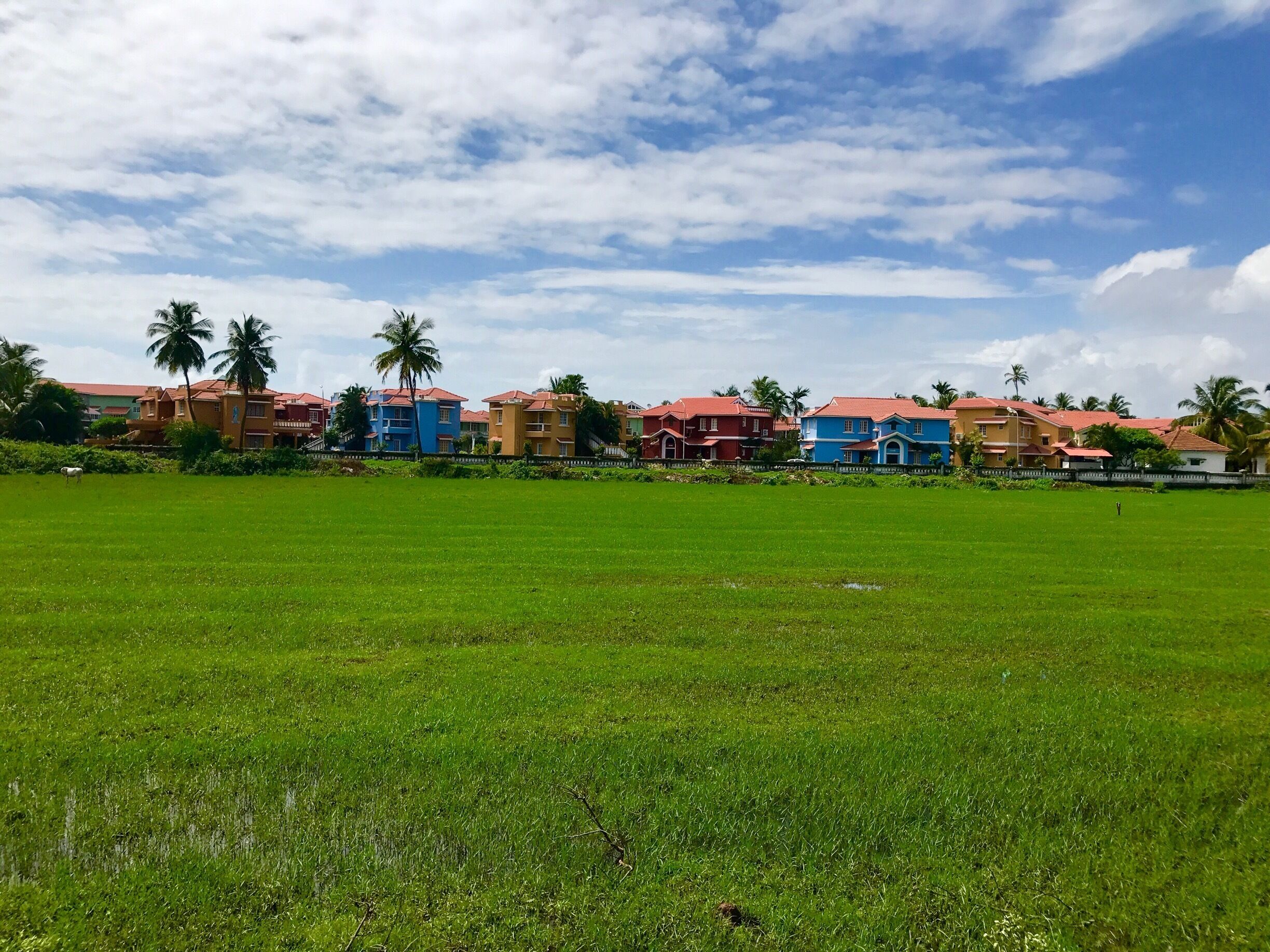 Show this nice view on Benaulim Beach Road in Goa...


#awesome #amazing #benaulim #goa #green #bluesky #clouds #house #colorful #trees #summer #weather #f4f #follow #life #tbt