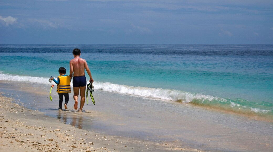 Father and Son going snorkelling