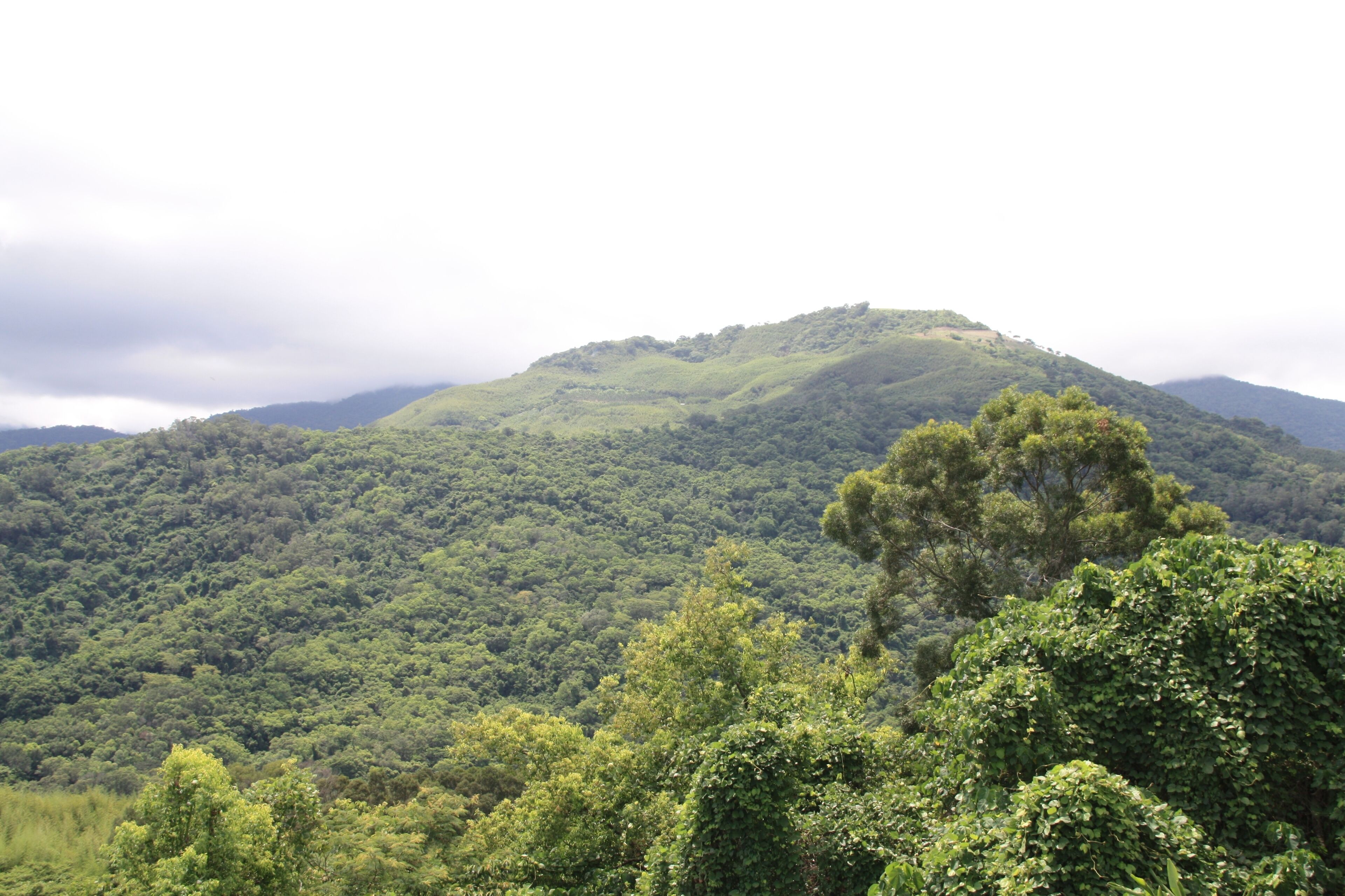 Taitung County Luye Township