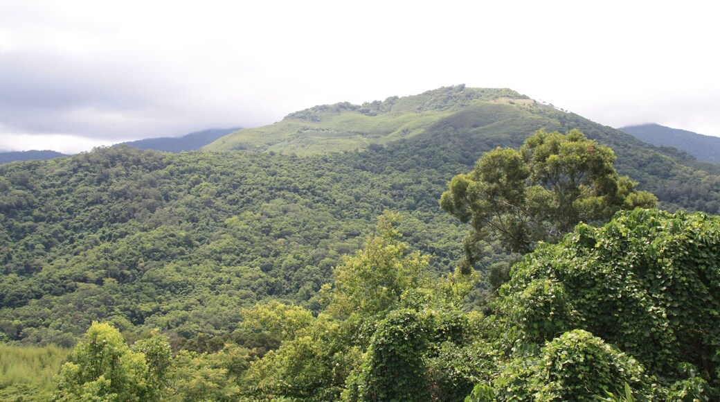 Taitung County Luye Township