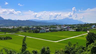 Scenic View of Guanshan Town and Rice Fields from Bike Trail in Taitung, Taiwan
