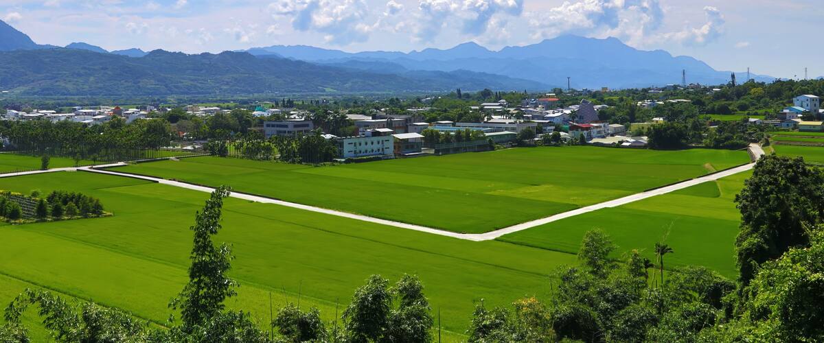 A green field with a white path, a town with buildings, and mountains in the background.