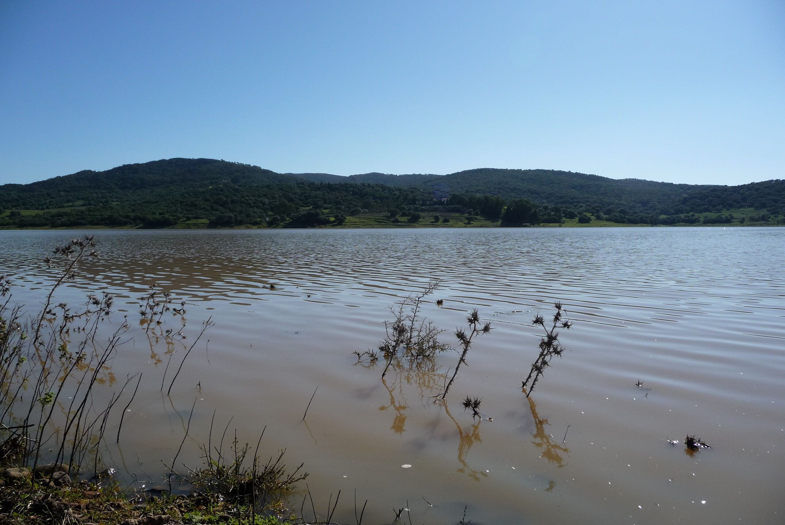 El Celemin man-made lake, (Andalusia, Spain)