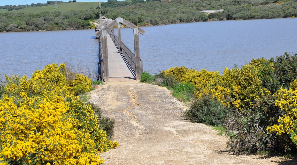 Bridge in the reservoir of the Celemín of the green corridor of the two bays, Las Lagunetas, Benalup, Cádiz, Spain