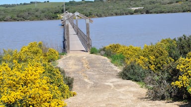Bridge in the reservoir of the Celemín of the green corridor of the two bays, Las Lagunetas, Benalup, Cádiz, Spain