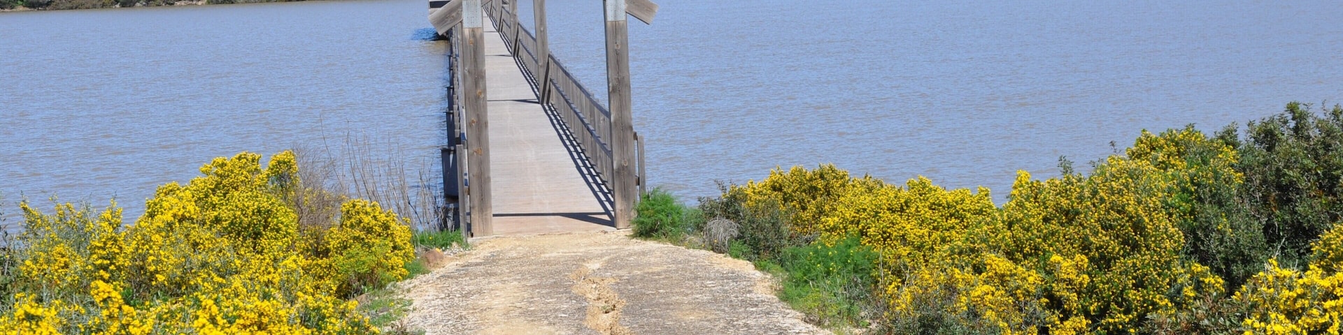 Bridge in the reservoir of the Celemín of the green corridor of the two bays, Las Lagunetas, Benalup, Cádiz, Spain