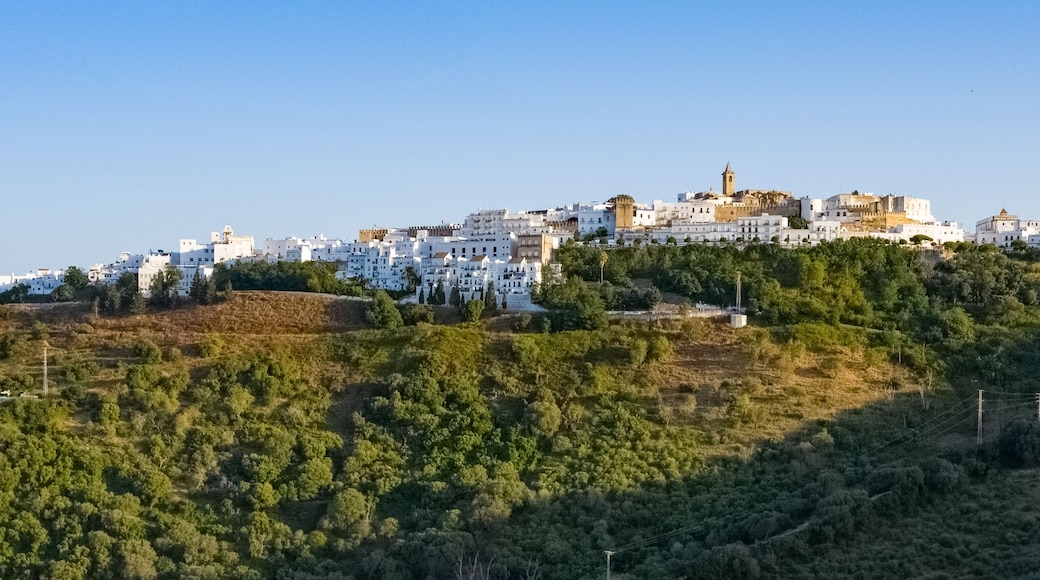 Large image of Vejer de la Frontera on the top of a hill in Andalusia