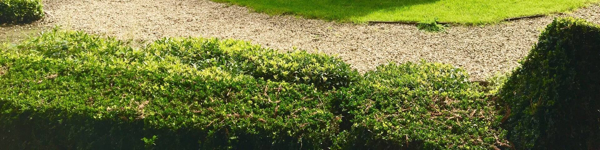 Dunboyne Castle, Southern Ireland đšđź (about an hour from Dublin city)